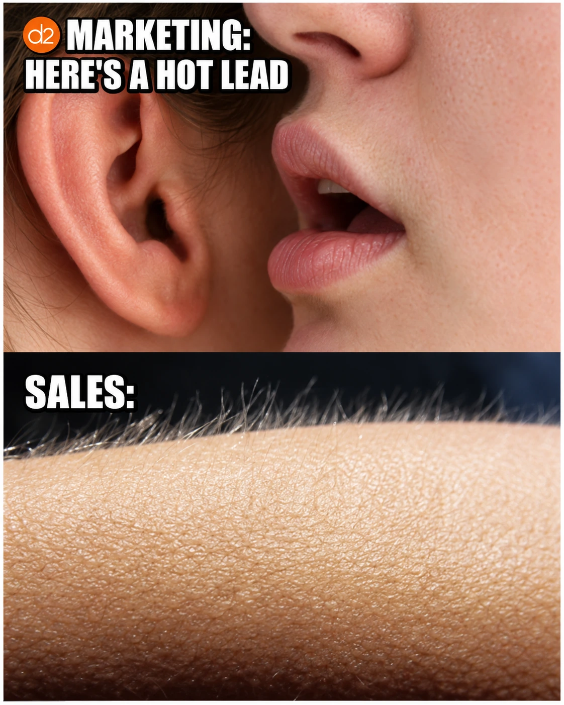 d2 Digital Designs: hot lead / native social humor.