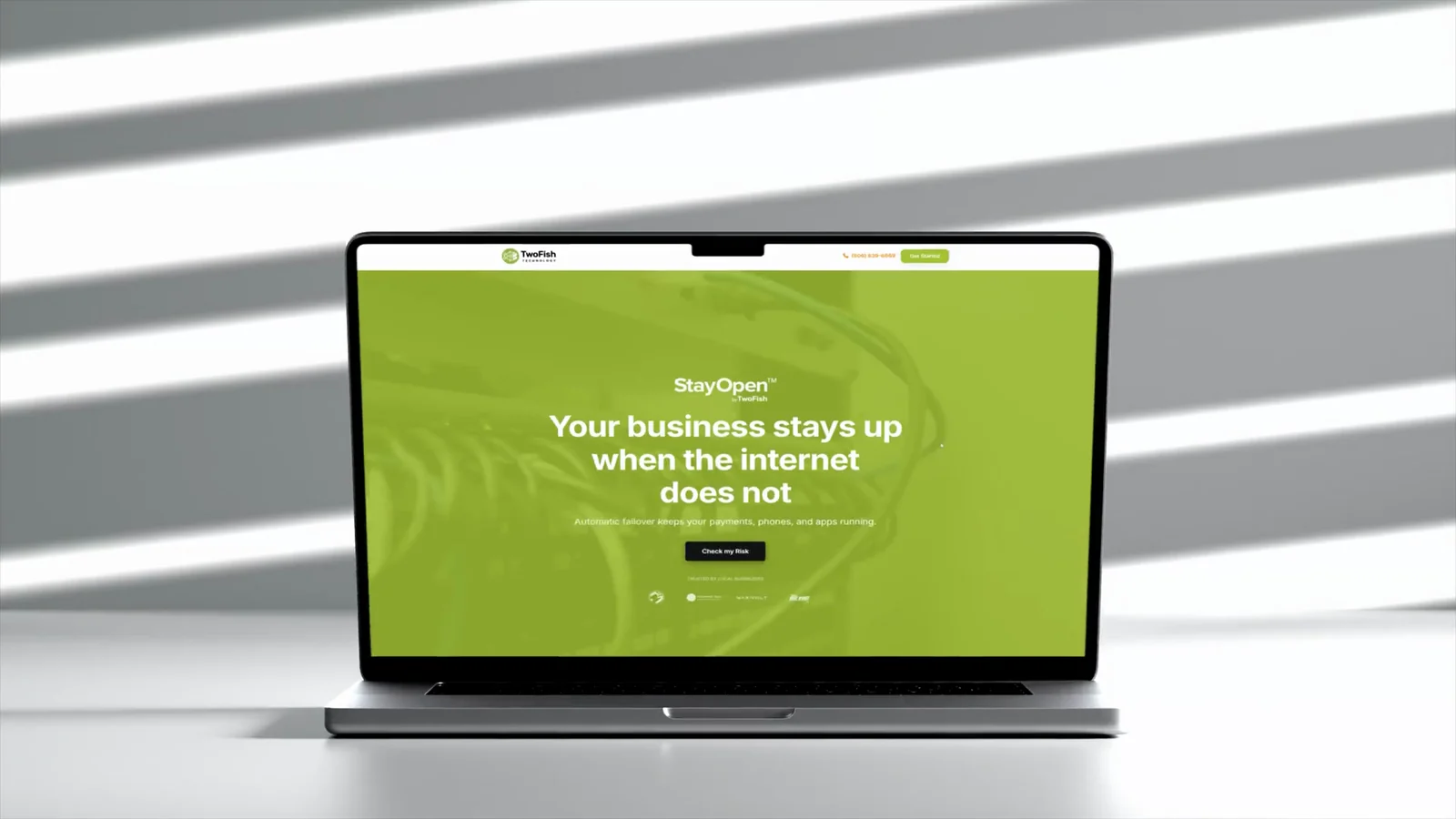 Two Fish Technology website and conversion suite reel